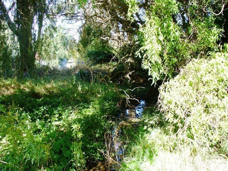 7 Bonney Street, Deloraine TAS 7304