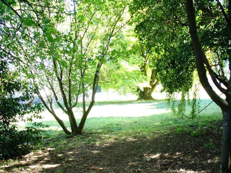 7 Bonney Street, Deloraine TAS 7304