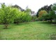 47 Caveside Road, Mole Creek TAS 7304