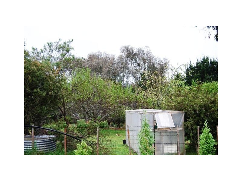 47 Caveside Road, Mole Creek TAS 7304