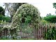 115 Fernleigh Road, Caveside TAS 7304