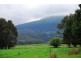 115 Fernleigh Road, Caveside TAS 7304