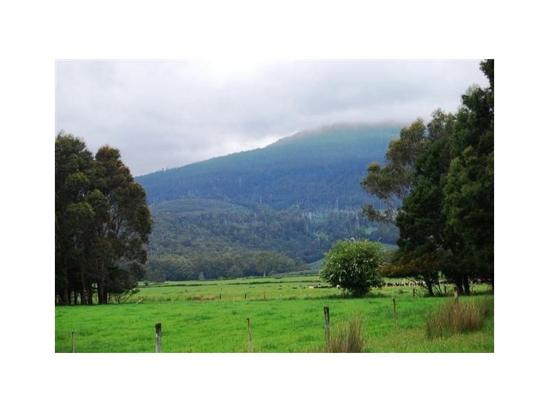 115 Fernleigh Road, Caveside TAS 7304