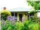 70 Baldocks Road, Mole Creek TAS 7304