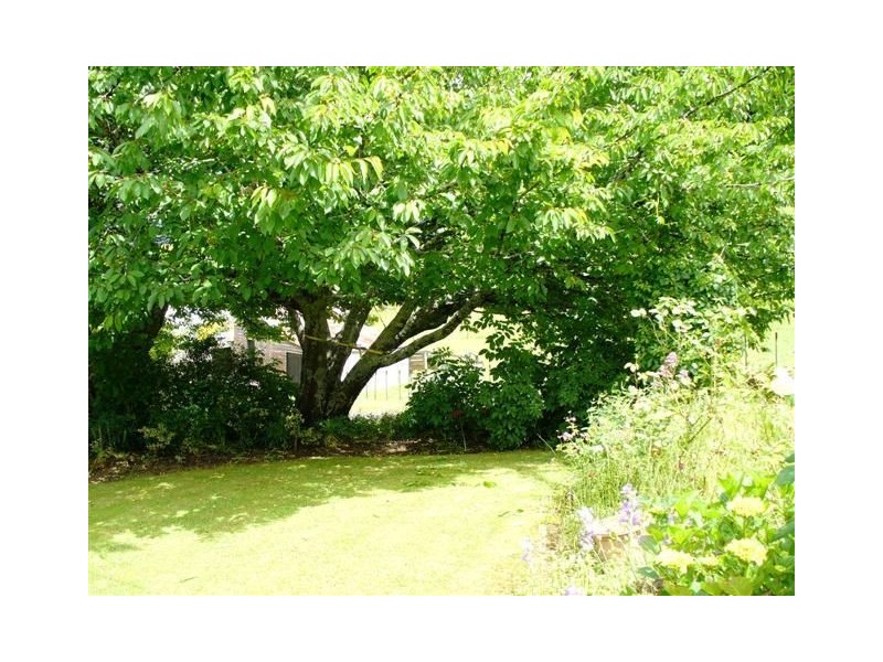 70 Baldocks Road, Mole Creek TAS 7304