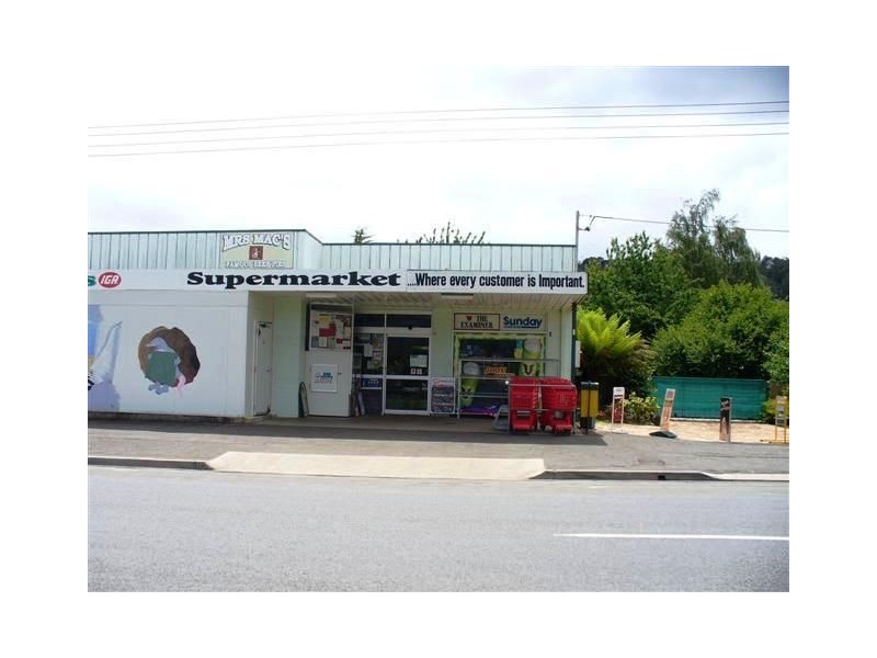 44 Pioneer Drive, Mole Creek TAS 7304