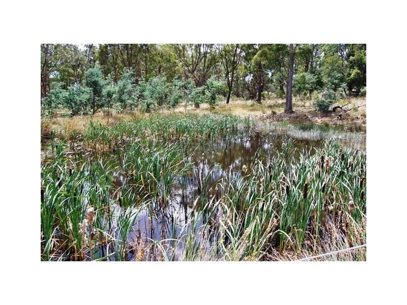 79 Bogan Road, Osmaston TAS 7303