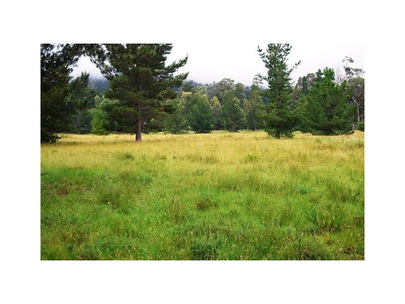 449 Weetah Road, Weetah TAS 7304