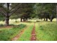 449 Weetah Road, Weetah TAS 7304