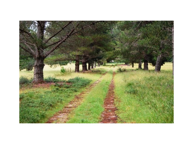 449 Weetah Road, Weetah TAS 7304