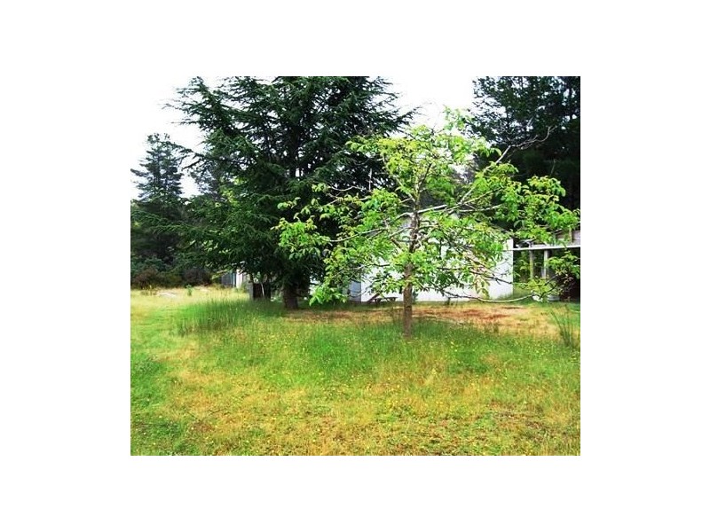 449 Weetah Road, Weetah TAS 7304