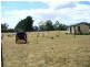 87 Dexter Street, Westbury TAS 7303