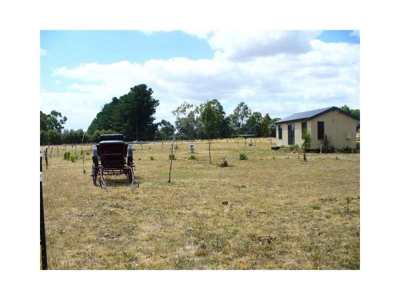 87 Dexter Street, Westbury TAS 7303