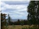 87 Dexter Street, Westbury TAS 7303