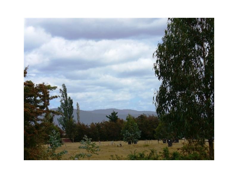 87 Dexter Street, Westbury TAS 7303