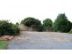 10 Winter Street, Deloraine TAS 7304
