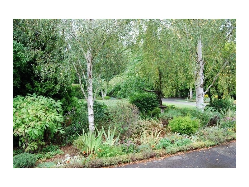 55 Sandy Lane, Meander TAS 7304