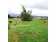 55 Sandy Lane, Meander TAS 7304