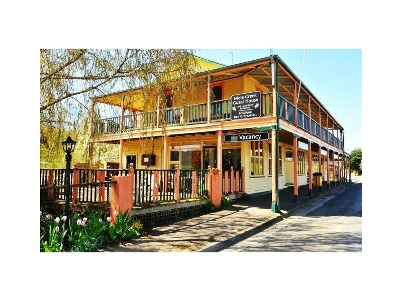 100 Pioneer Drive, Mole Creek TAS 7304