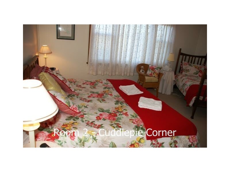 100 Pioneer Drive, Mole Creek TAS 7304