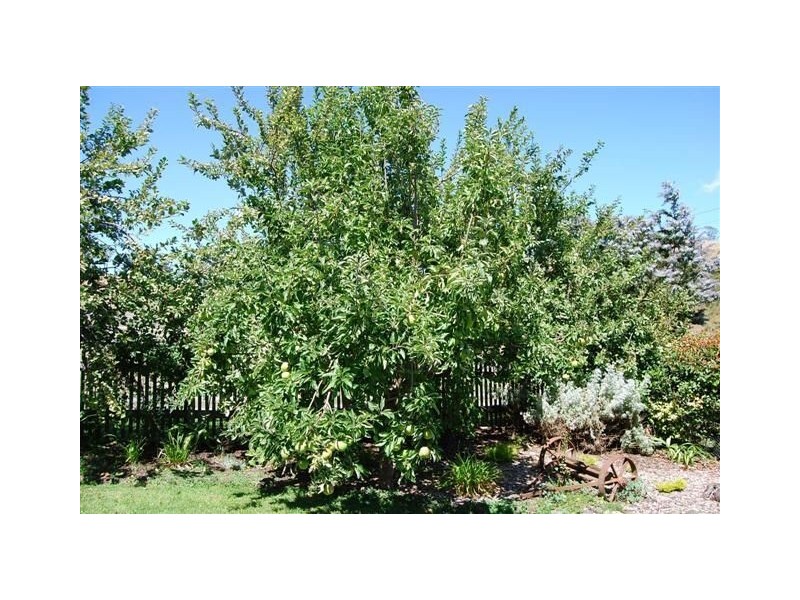 684 Railton Road, Moltema TAS 7304