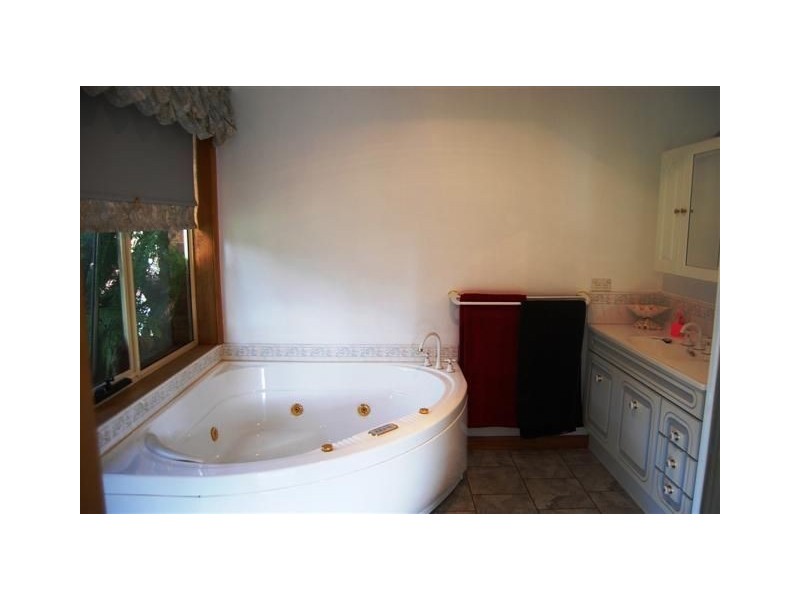 320 River Road, Deloraine TAS 7304