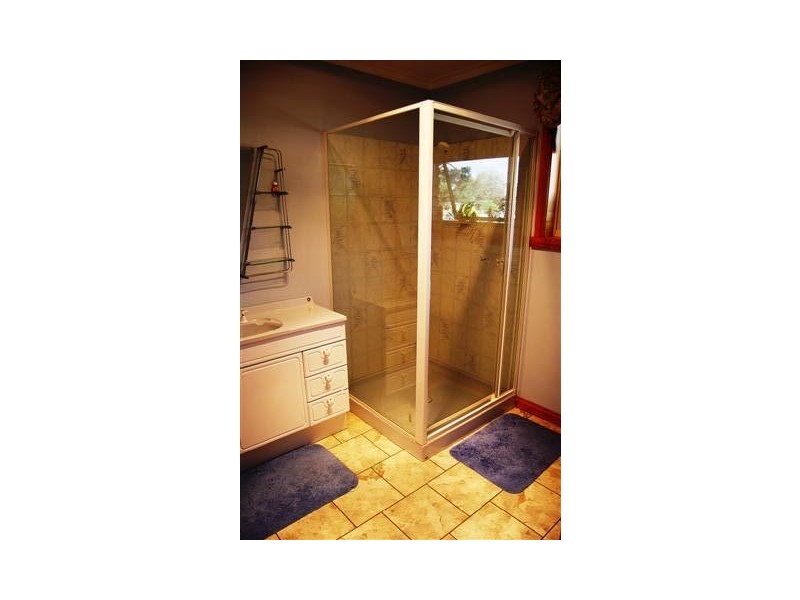 320 River Road, Deloraine TAS 7304