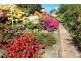 85 West Barrack Street, Deloraine TAS 7304