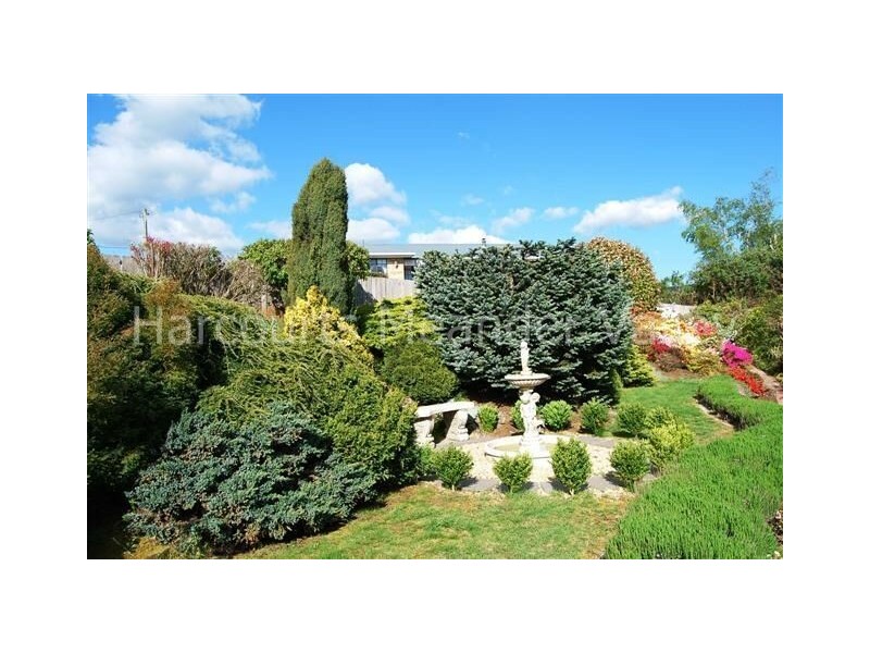 85 West Barrack Street, Deloraine TAS 7304