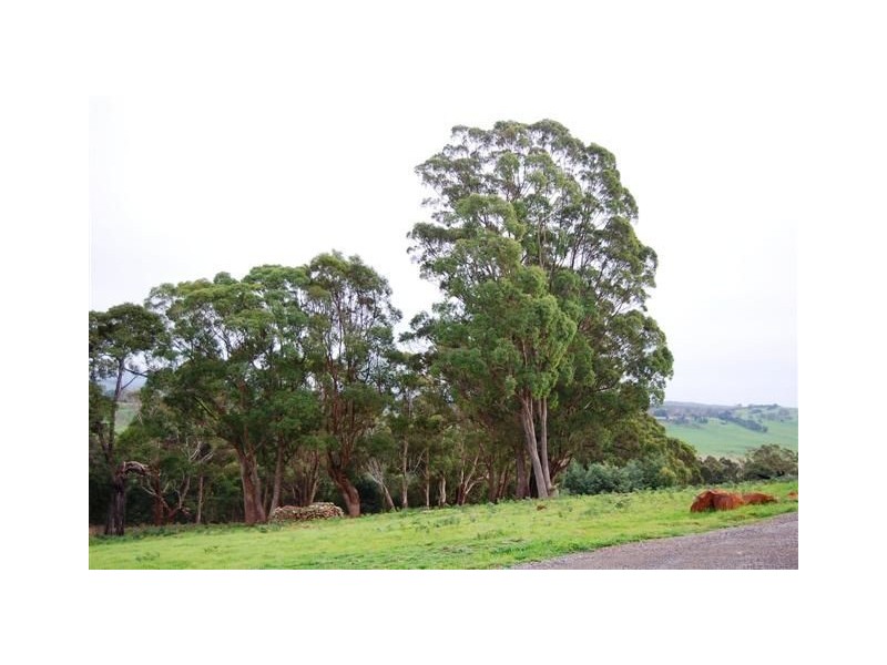 Lot 1 Prout Street, Elizabeth Town TAS 7304