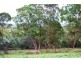 Lot 1 Prout Street, Elizabeth Town TAS 7304
