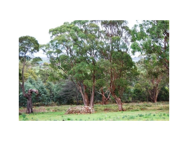 Lot 1 Prout Street, Elizabeth Town TAS 7304