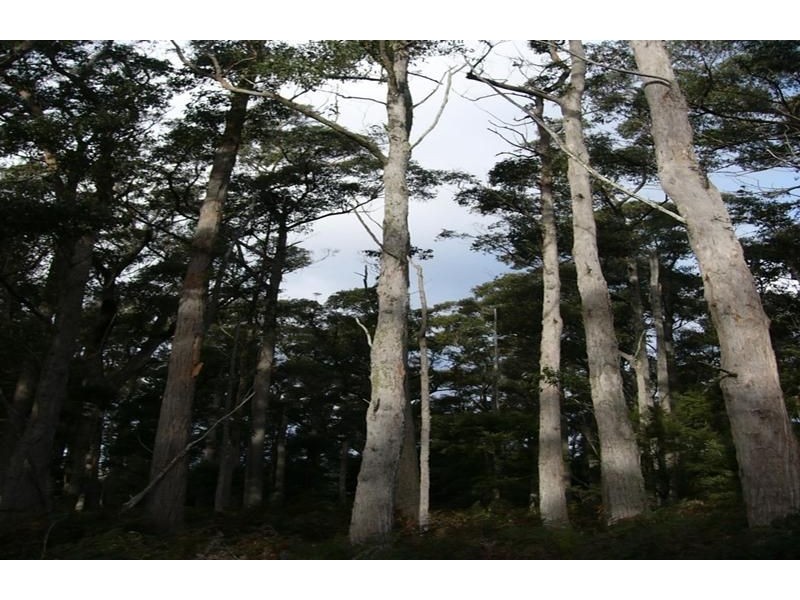 0 Boxhalls Road, Meander TAS 7304