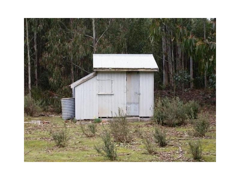 12624 Highland Lakes Road, Golden Valley TAS 7304