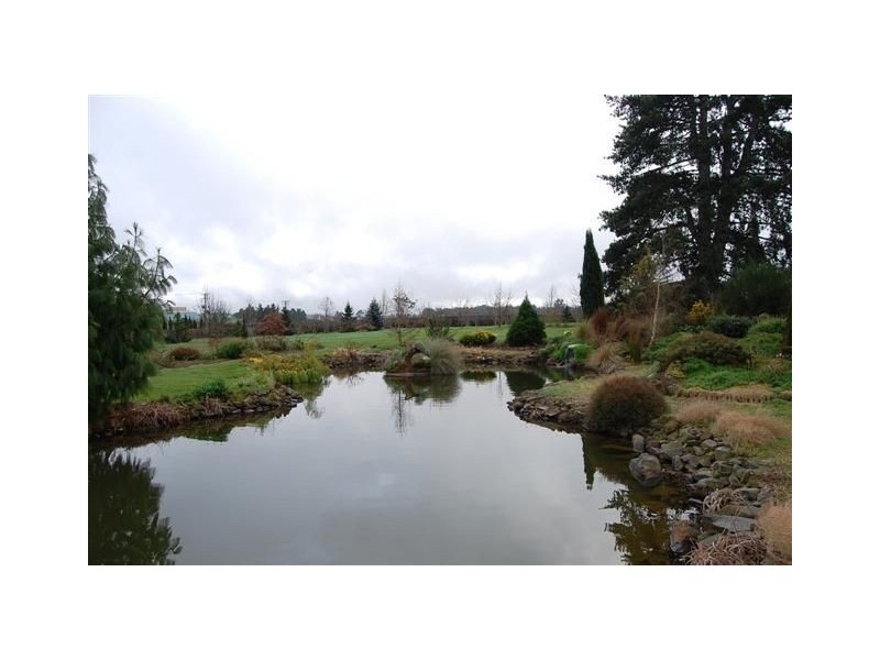 41 Waterloo Street, Westbury TAS 7303