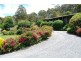 1876 Mole Creek Road, Mole Creek TAS 7304