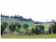 Chudleigh TAS 7304