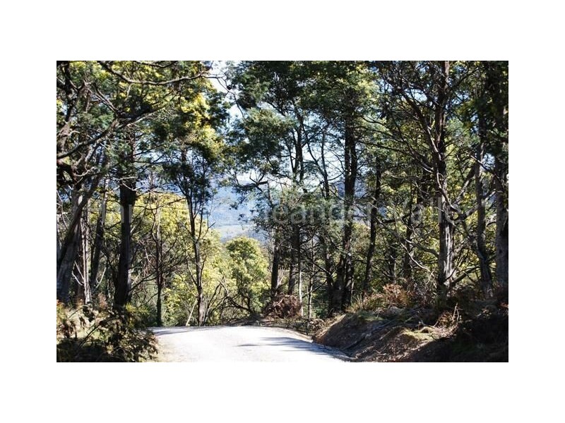 Lot 10 Wiiteena Road, Jackeys Marsh TAS 7304