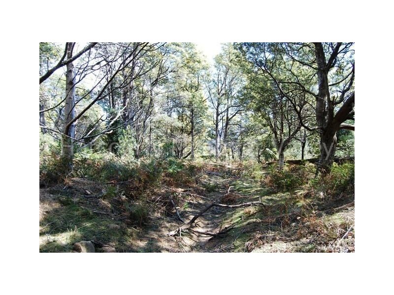 Lot 10 Wiiteena Road, Jackeys Marsh TAS 7304