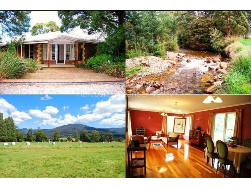 551 Western Creek Road, Western Creek TAS 7304