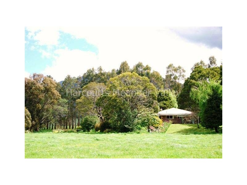 551 Western Creek Road, Western Creek TAS 7304