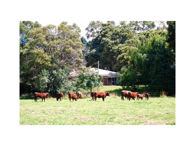 551 Western Creek Road, Western Creek TAS 7304