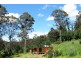 0 Bogan Road, Golden Valley TAS 7304