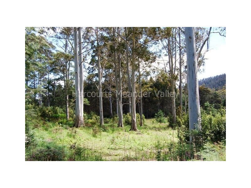 0 Bogan Road, Golden Valley TAS 7304