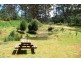 0 Bogan Road, Golden Valley TAS 7304