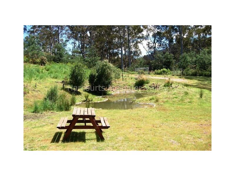 0 Bogan Road, Golden Valley TAS 7304