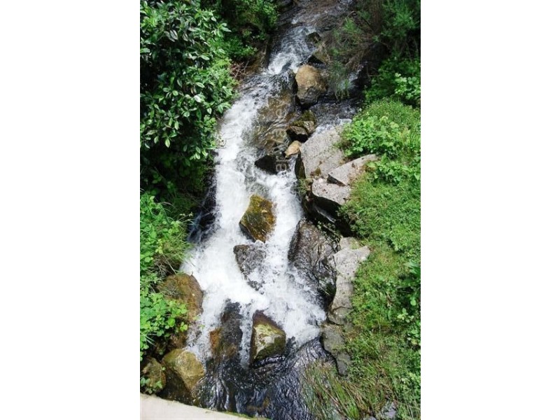 0 Bogan Road, Golden Valley TAS 7304