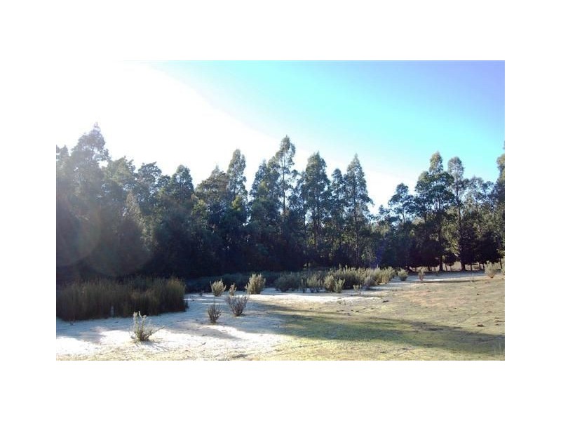 12624 Highland Lakes Road, Golden Valley TAS 7304