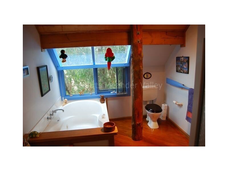 65 West Barrack Street, Deloraine TAS 7304