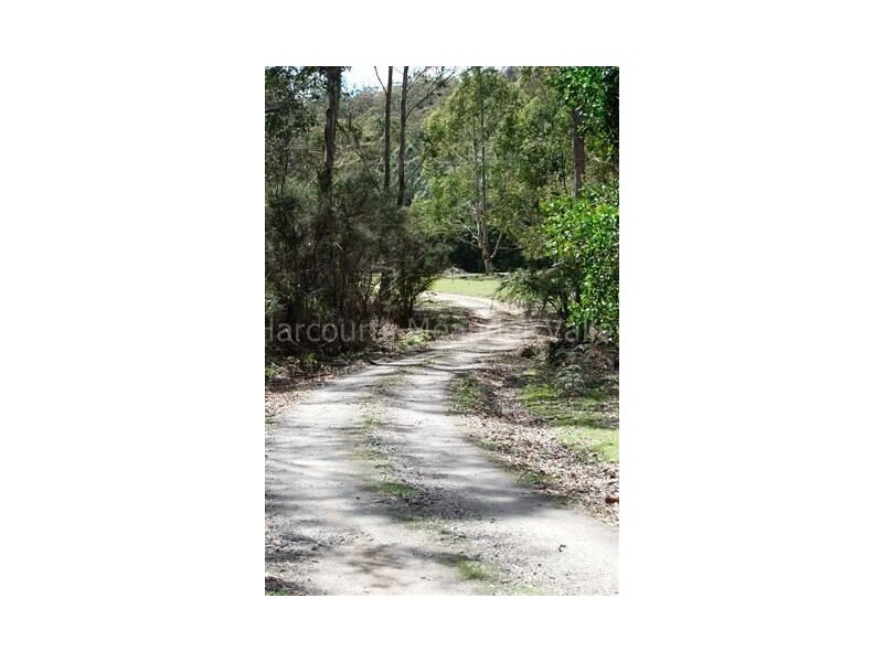 490 Larcombes Road, Reedy Marsh TAS 7304